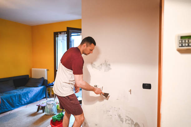 Best Industrial Mold Remediation in Johnston City, IL